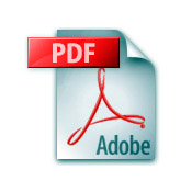 PDF File Logo